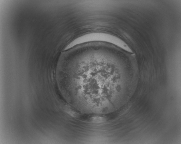 X0000067530169200604211853