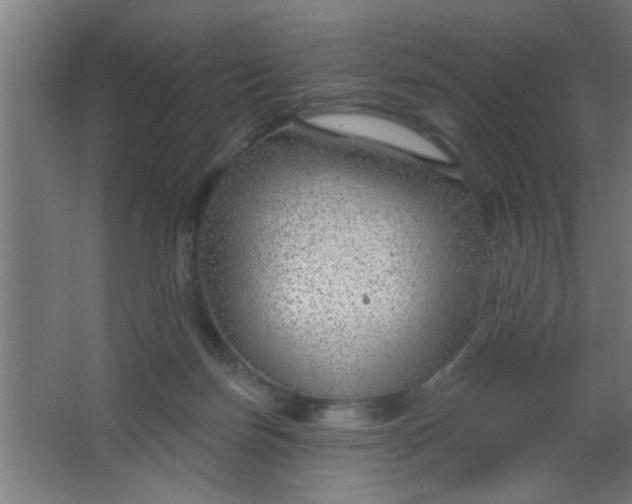 X0000067530171200604211853