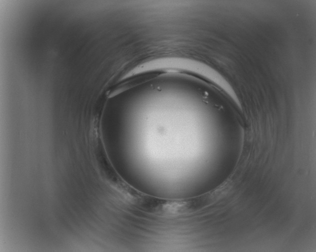 X0000067530172200604211853