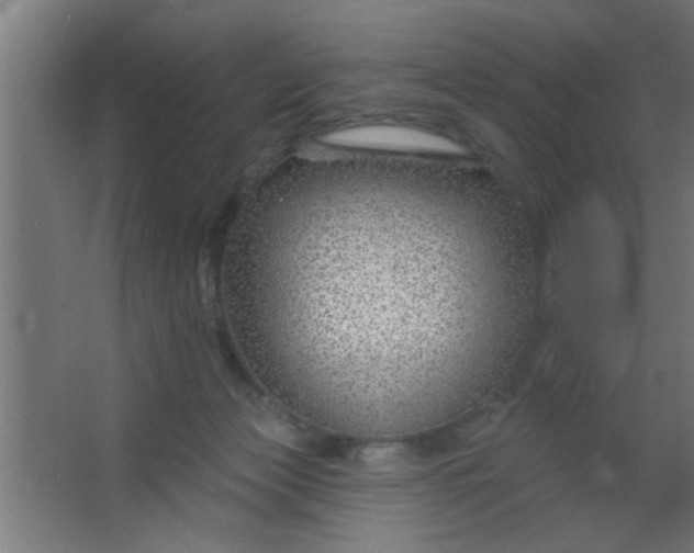 X0000067530173200604211853