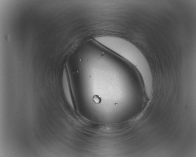 X0000067530174200604211853