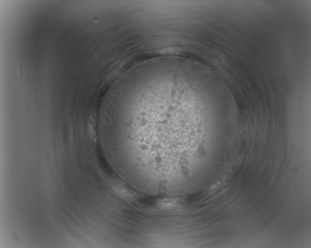 X0000067530175200604211853