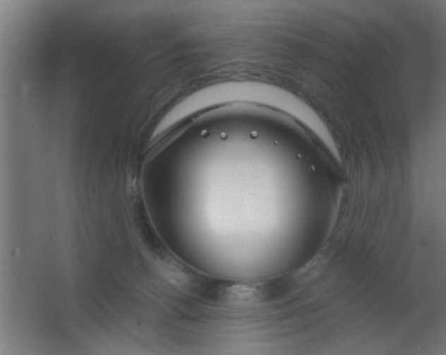 X0000067530176200604211853