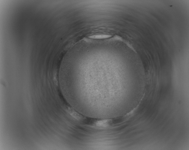 X0000067530178200604211853