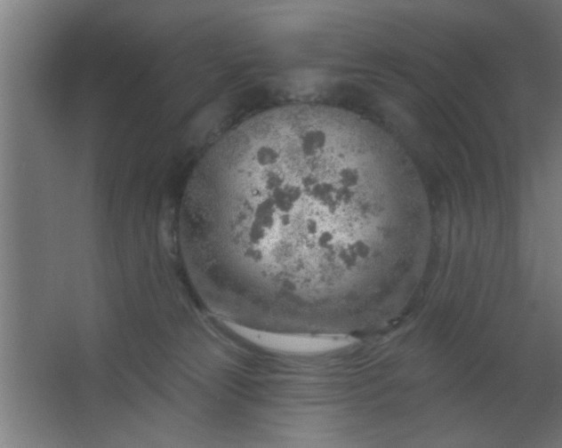 X0000067530181200604211853