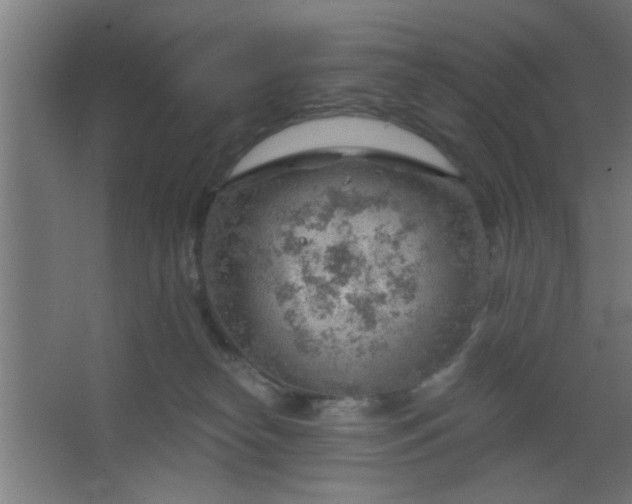 X0000067530182200604211853