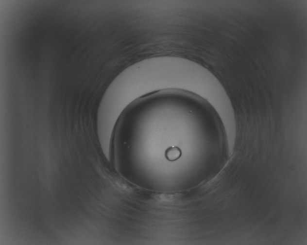 X0000067530187200604211853