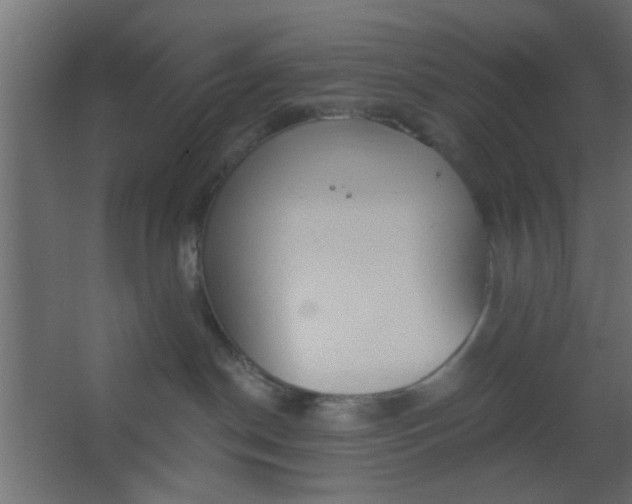 X0000067530190200604211853