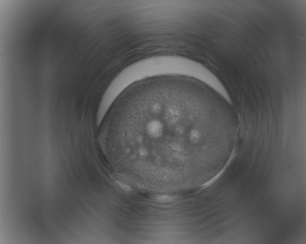 X0000067530191200604211853