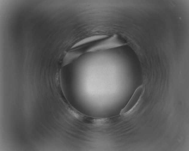 X0000067530192200604211853