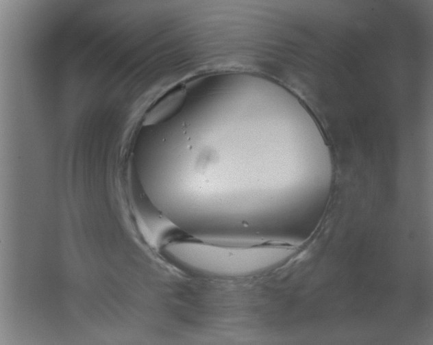 X0000067530193200604211852