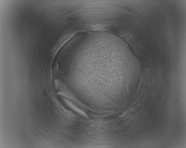 X0000067530194200604211852