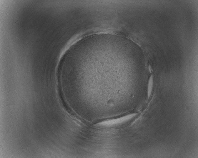 X0000067530198200604211852