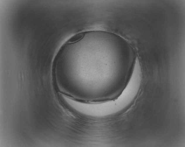 X0000067530200200604211852