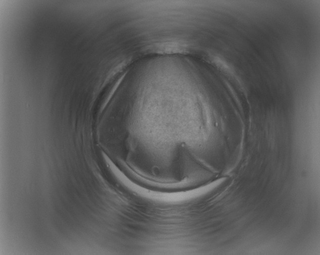 X0000067530202200604211852