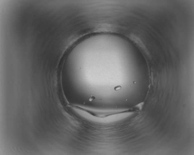 X0000067530204200604211852