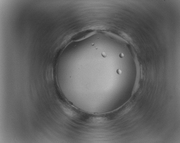 X0000067530205200604211852