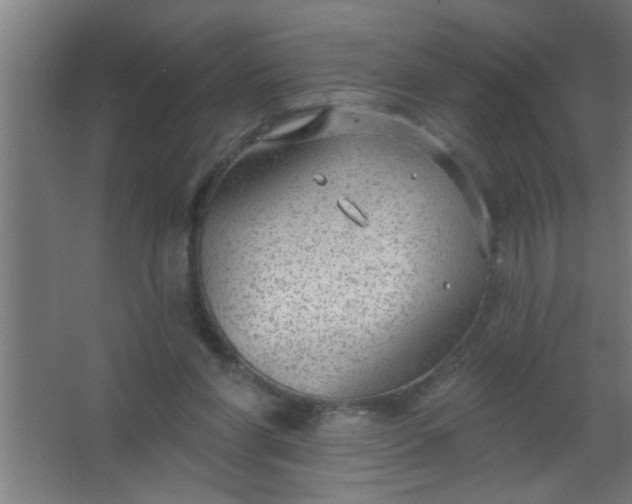 X0000067530206200604211852