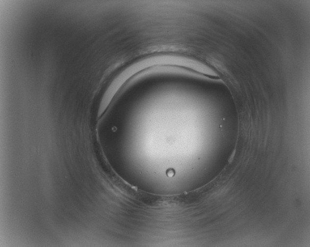 X0000067530207200604211852