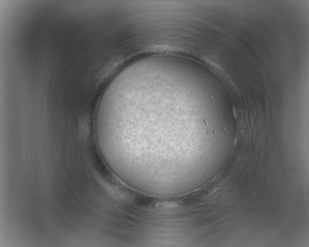 X0000067530208200604211852