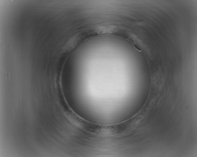 X0000067530209200604211852