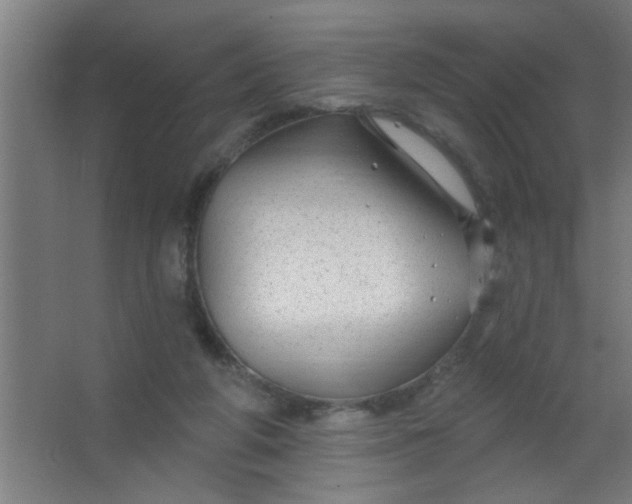 X0000067530210200604211852