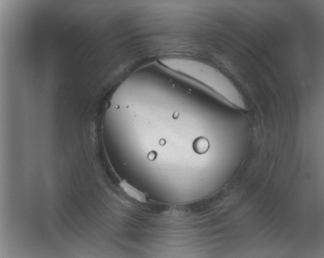 X0000067530211200604211852