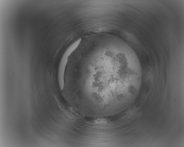 X0000067530214200604211852