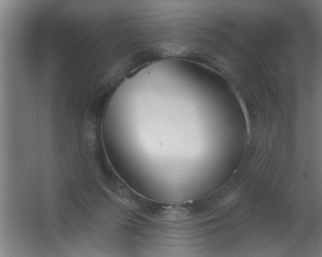 X0000067530215200604211852