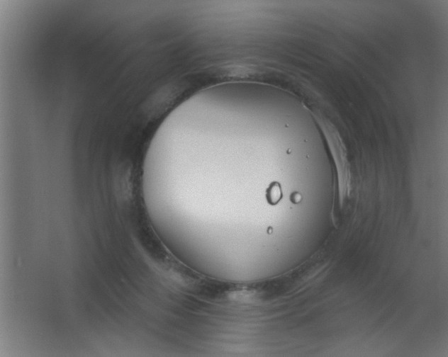 X0000067530216200604211852