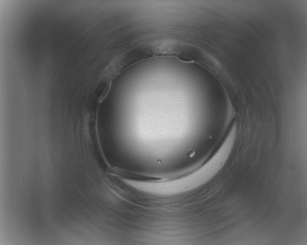 X0000067530217200604211852