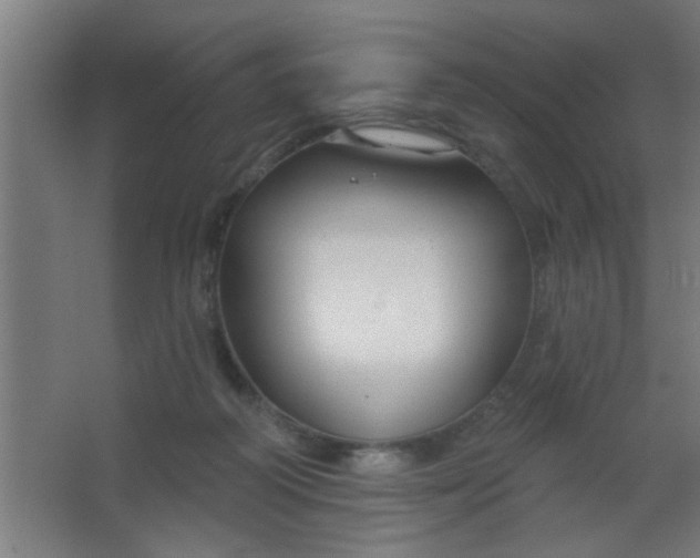 X0000067530218200604211852