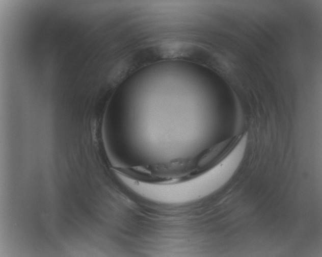 X0000067530219200604211852