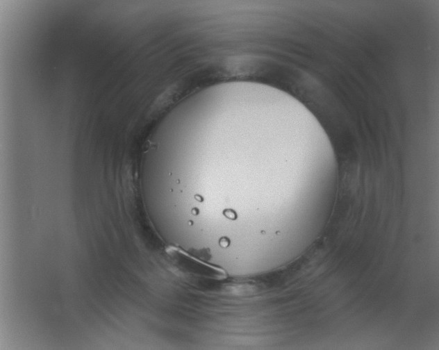 X0000067530220200604211852