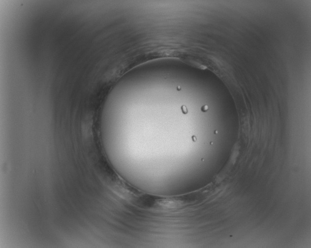 X0000067530221200604211852