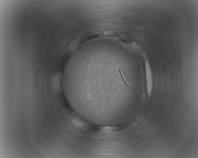 X0000067530222200604211852