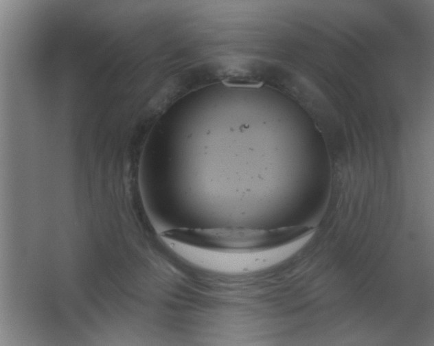 X0000067530223200604211852