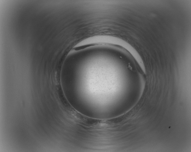 X0000067530224200604211852