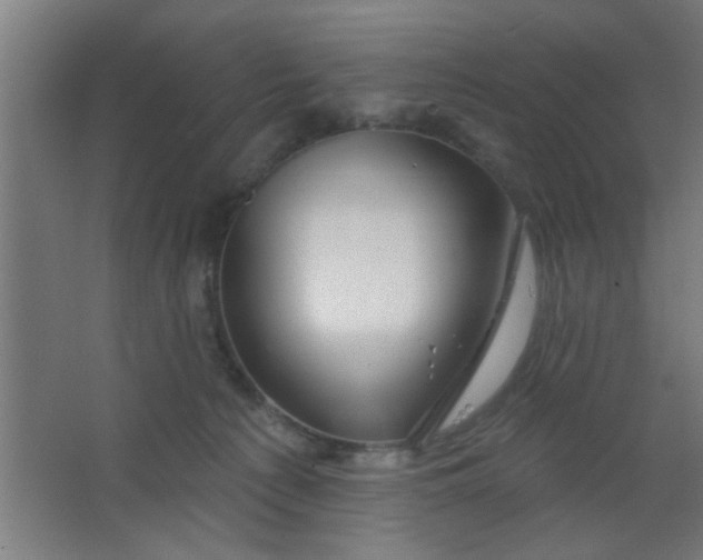 X0000067530225200604211852