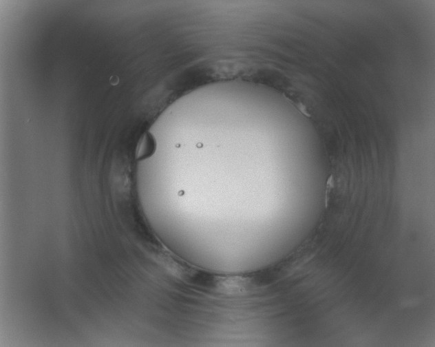 X0000067530226200604211852