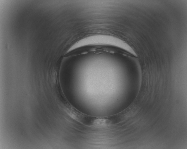 X0000067530227200604211852