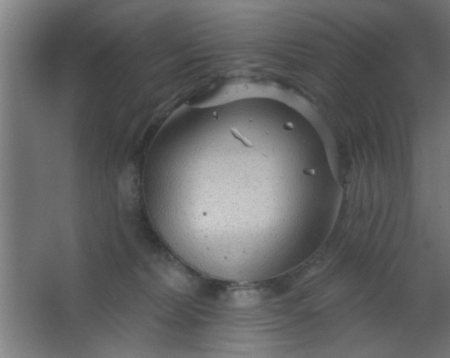 X0000067530228200604211852