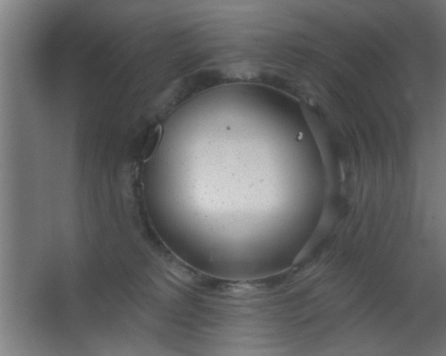 X0000067530229200604211852