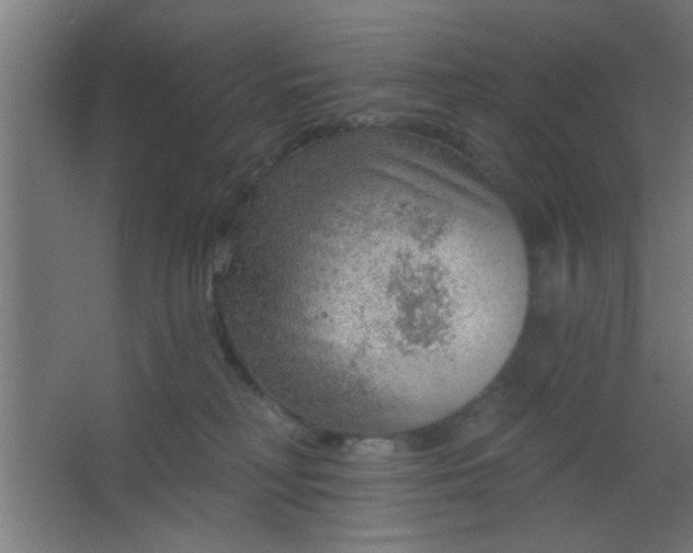 X0000067530230200604211852