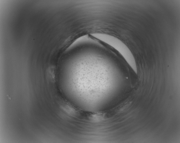 X0000067530232200604211852