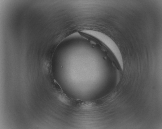 X0000067530235200604211852