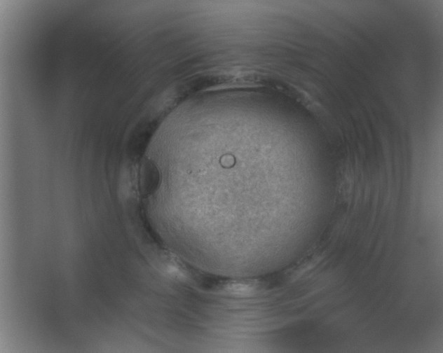 X0000067530236200604211852