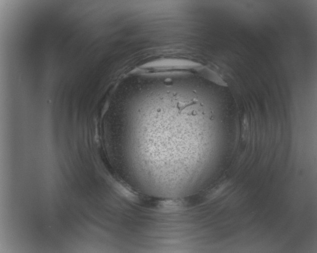 X0000067530238200604211852