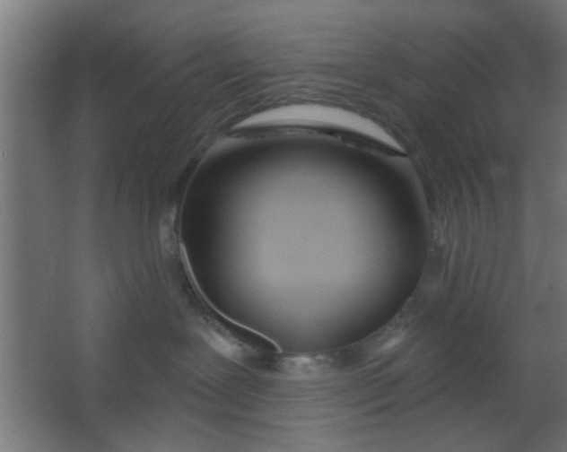 X0000067530239200604211851