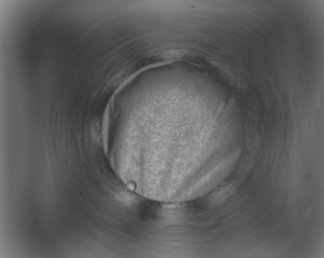 X0000067530240200604211851